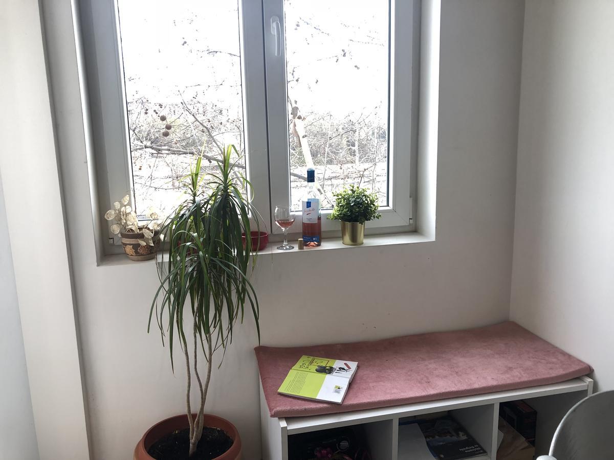 Studio 50 With Terrace Beograd Eksteriør billede